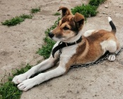 ������� � ������ ����