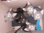 ������ ����� ���!!!