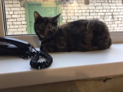 ������� � ������ ����