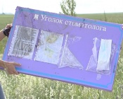 ����������� ������� ������ ����������� ������ �� ������ � ������ ��������