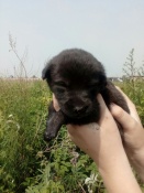 ���� ���