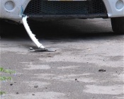 ��������� ��� � ������ ��������. �������� ������ ����������� �� ��������