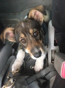 ����� � ������ ����