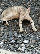 ������� � ������ ����