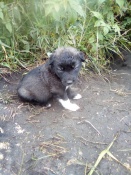 ���� ���