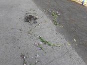 ��� ���� ������� ��������� �� ��� ����������� ��������