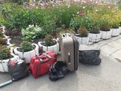 ������ ������� � ������ �������� �� ������ ��������