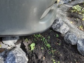 ��������� ������� � ���������������� ����� ������� �����������