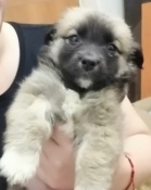 �������� ��� ����