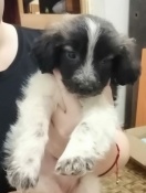 �������� ��� ����