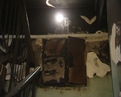 ������� ������� �������� ������� ���� � ������ �������� ��� ����� (����)