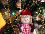 ������������� ����  ����������� �� ����������� ������ ���������  � ���������� ��������� � �������������� ��������