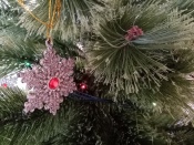 �� ������ ��� �������� � ���������? ���������