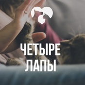 ������� �������