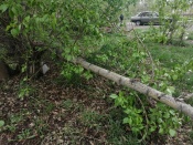 � ������ �������� ����������� ��������� ������