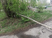 � ������ �������� ����������� ��������� ������