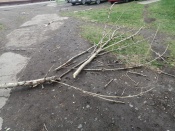 � ������ �������� ����������� ��������� ������