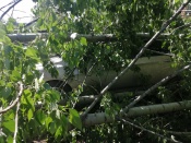 � ������ �������� ���� ������ �������� ����������, ������ � �������� ������