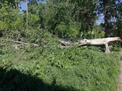 � ������ �������� ���� ������ �������� ����������, ������ � �������� ������