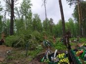 Могилы на кладбище города Назарово завалены поломанными деревьями (фото)
