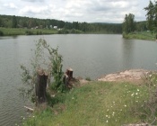 ���������, �������� ���� ������� ����� ����������� �����, �������� ���������