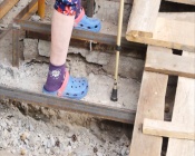 ������ ���������������� ���� ��������� ������������ �����������, ����� ������� �����