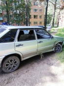Сбежавший босиком с места ДТП водитель сам пришёл в ГИБДД