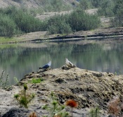 �� ���� ����������������