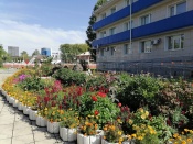 ��������� ����� ���������� �������� �� ������ ���������������