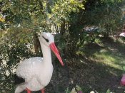 ��������� ����� ���������� �������� �� ������ ���������������