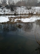 � ������ �������� ��������� ���� ������ ����� (�����)