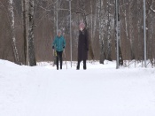 � ������ �������� ���������� ������������ �������� � ���������