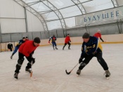 � ����������� ������ ���������� ���������� ��������� �������