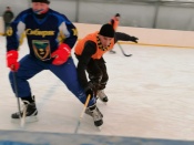 � ����������� ������ ���������� ���������� ��������� �������