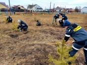 ���������� ���� ���������� ��������� ������������� ��������� 