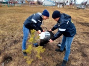 ���������� ���� ���������� ��������� ������������� ��������� 