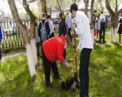 ����������� �������� ����������� ���������� ���������� ������