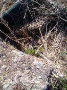 � ����� �� ��������� ������� ������������ ������ ������ ���������� ������� ������