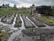 ��� � �����������. � ������ �������� ���� �������� �����