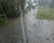 � ����������� ������ ������ ������� ����