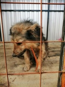 ������-������� ���� ���� �������