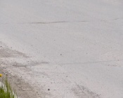 ��������� �������� �� ���� � ����� �� ������ ������