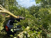 �������� ������ ����������� � ������ ��������, ��������� ��������� �����������, ������� ������ � �������