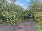 �������� ������ ����������� � ������ ��������, ��������� ��������� �����������, ������� ������ � �������