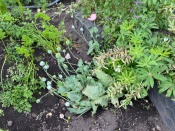 � ���������� ������������ ������ ������ 97 ������ ����