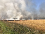 �� ������� �� ����� �������� ������� ��������