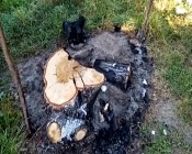 �� ������ ���������� �� 300 ��: � ����������� ������ �������� �����