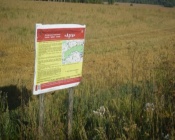 �� ������ ���������� �� 300 ��: � ����������� ������ �������� �����