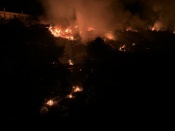 ����� �������� �������� ������� ��-�� ������ �� ������������������� ������ � ������ ��������