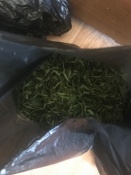 Назаровец предстанет перед судом за незаконное хранение марихуаны